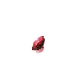 Lalique / Sculptures / Anémone PM – Anemone SS / oggetto decorativo / cristallo / rosso