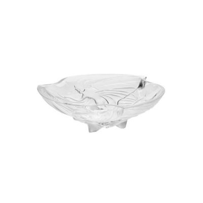 Lalique / Coupes et Coupelles / Coupe Daydream MM – Daydream Bowl MS / coppa / cristallo