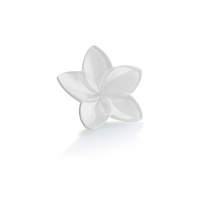 Baccarat / The Bloom / fiore / oggetto decorativo / cristallo / bianco