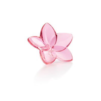 Baccarat / The Bloom / fiore / oggetto decorativo / cristallo / rosa