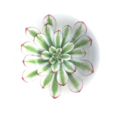 Taitù / Desert Rose / coppa piccola / porcellana / bianca, rossa e verde