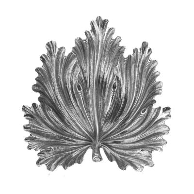 Buccellati / Foglia di Fico / ciotola / argento sterling / misura III